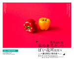 每日一图