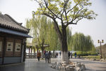 大明湖