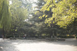 湖畔 风景 名胜 公园 大明湖