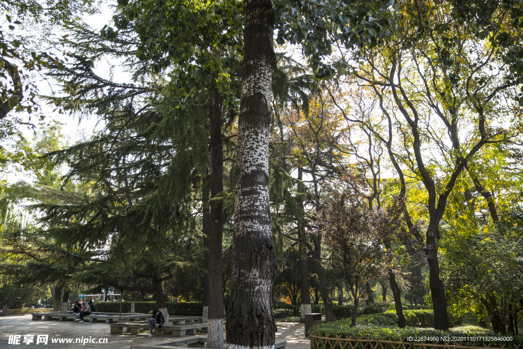 湖畔 风景 名胜 公园 大明湖