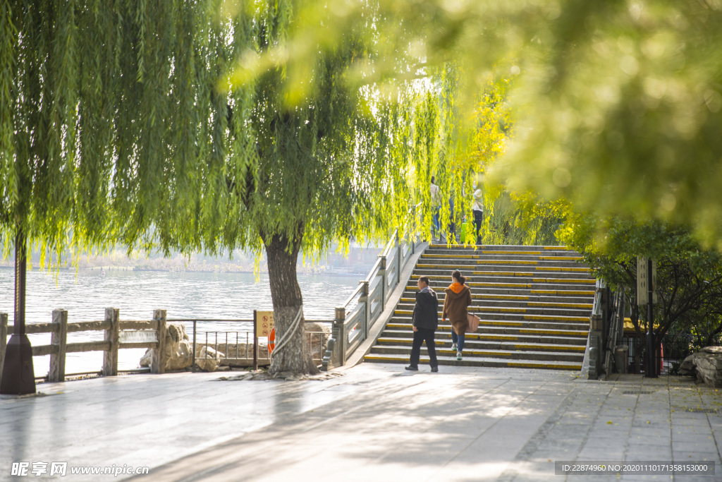 湖畔 风景 名胜 公园 大明湖