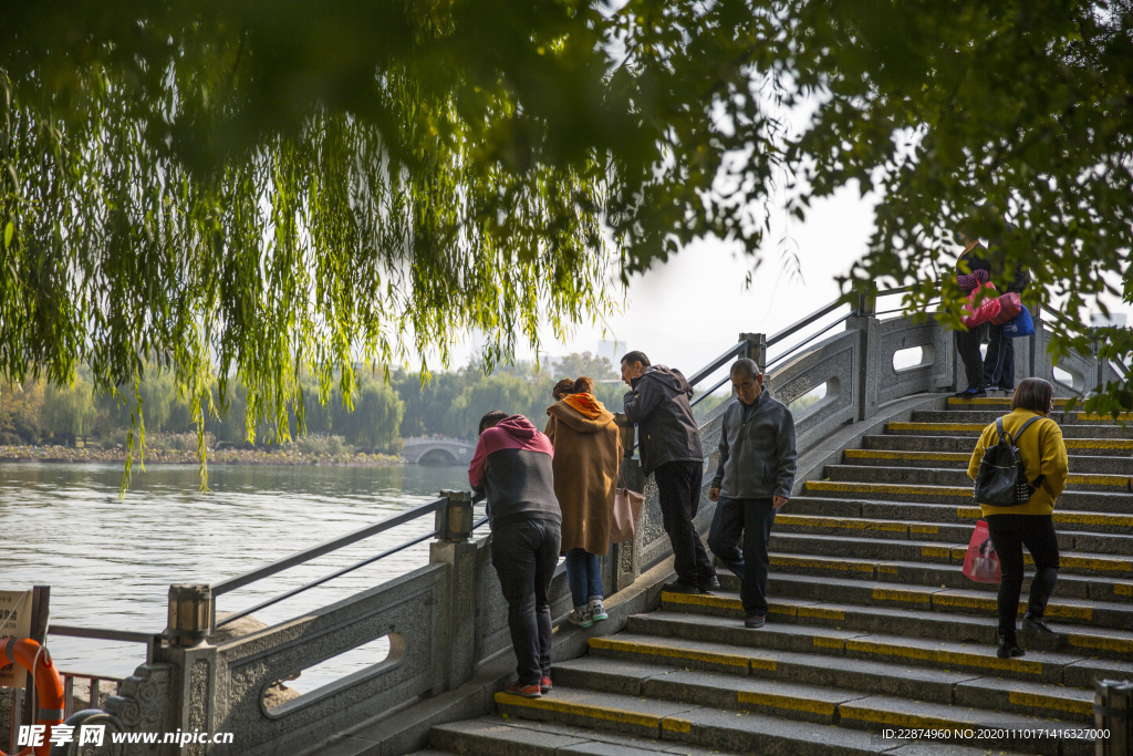 湖畔 风景 名胜 公园 大明湖