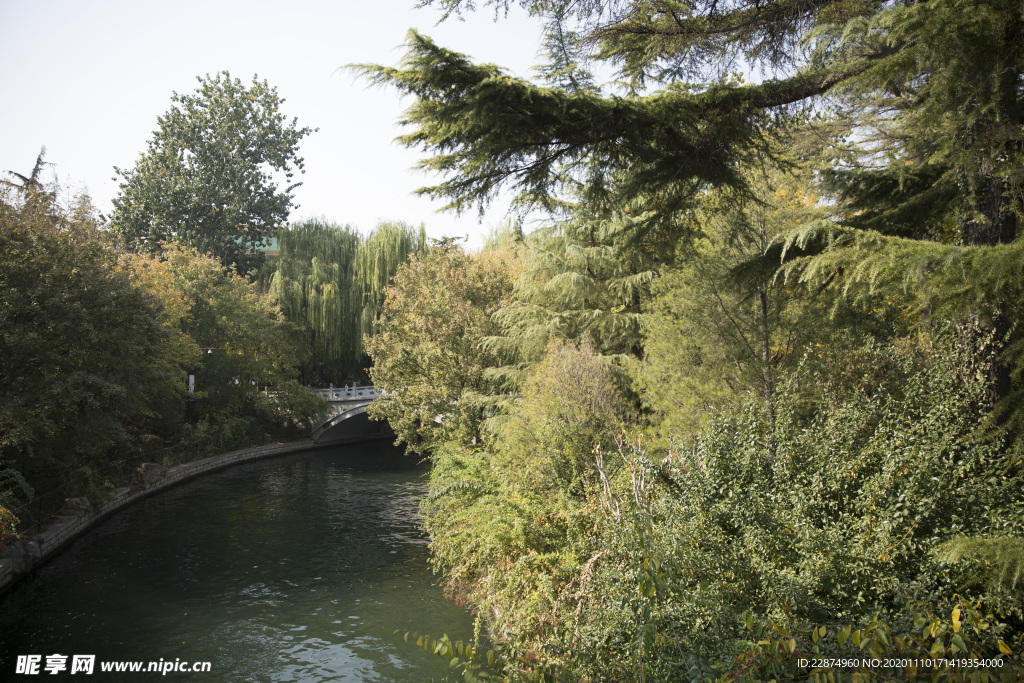 湖畔 风景 名胜 公园 大明湖