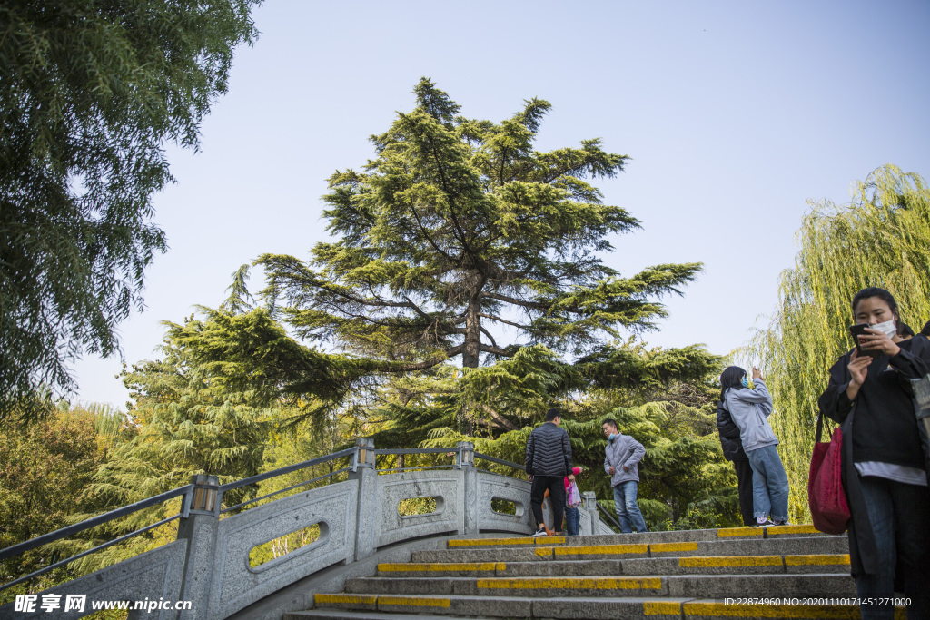 湖畔 风景 名胜 公园 大明湖