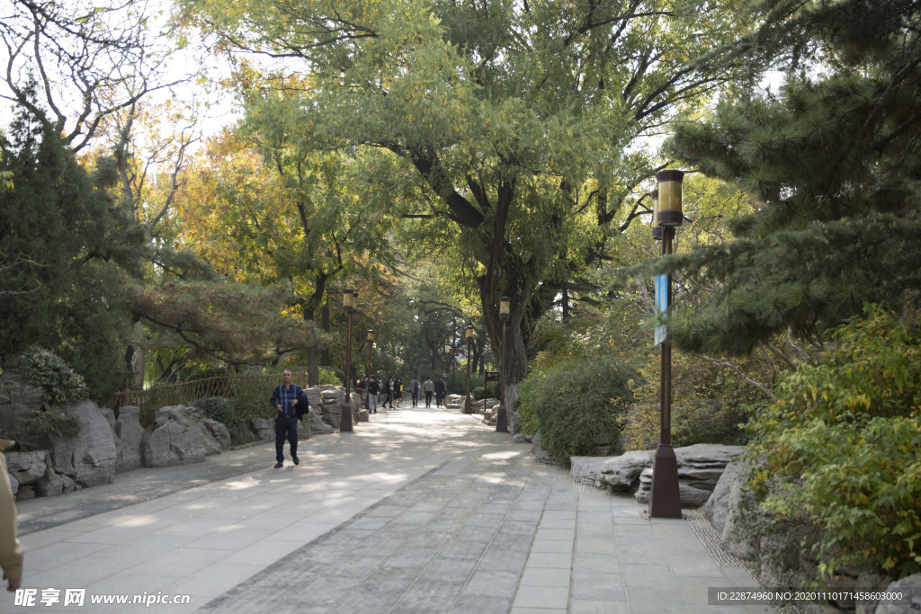 湖畔 风景 名胜 公园 大明湖