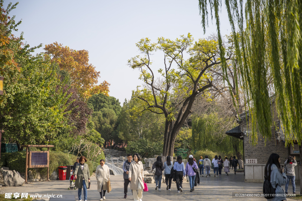 湖畔 风景 名胜 公园 大明湖