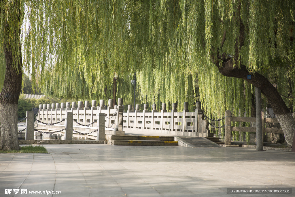 湖畔 风景 名胜 公园 大明湖