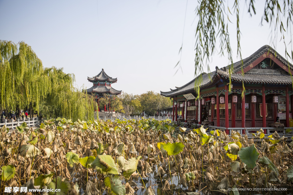 湖畔 风景 名胜 公园 大明湖