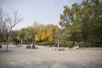 湖畔 风景 名胜 公园 大明湖