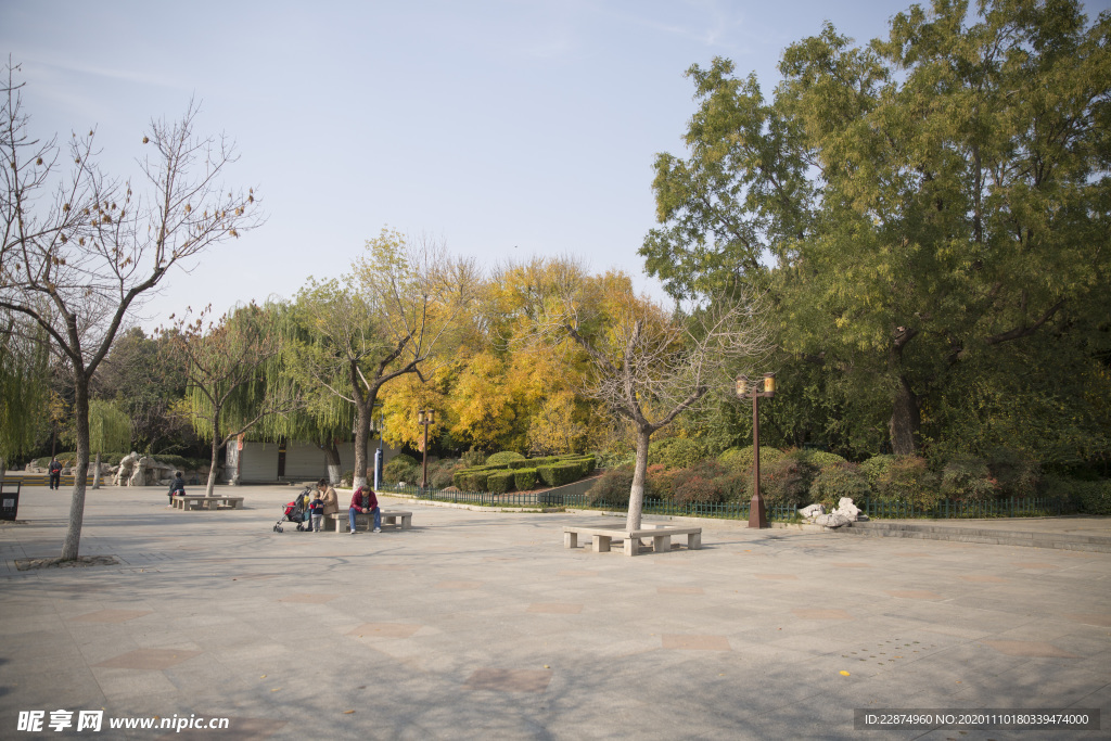 湖畔 风景 名胜 公园 大明湖