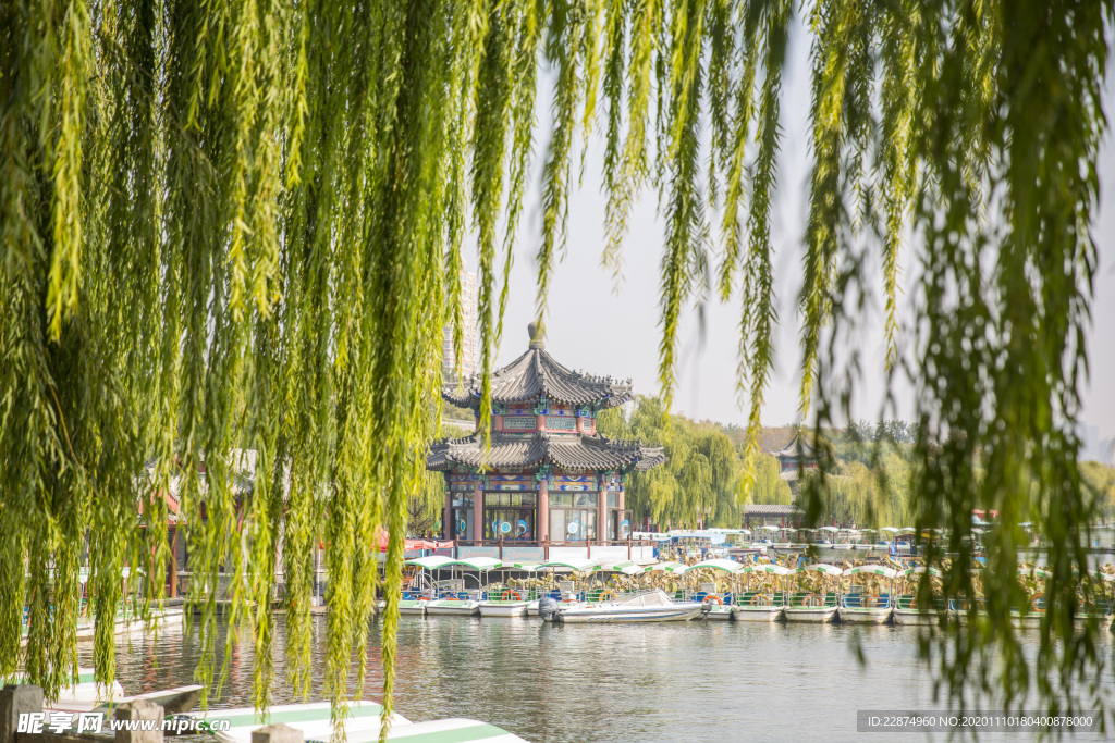 湖畔 风景 名胜 公园 大明湖