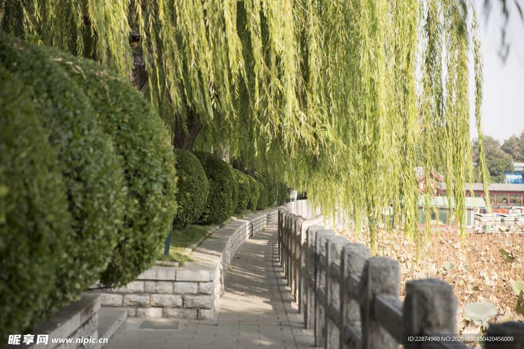 湖畔 风景 名胜 公园 大明湖