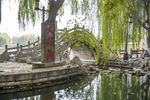 湖畔 风景 名胜 公园 大明湖