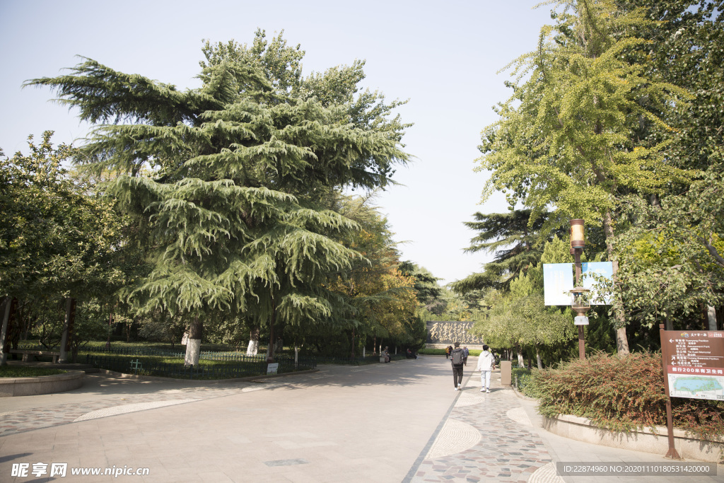 湖畔 风景 名胜 公园 大明湖