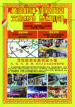 民族商场海报