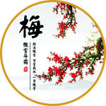 梅的图片