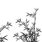 水墨竹子