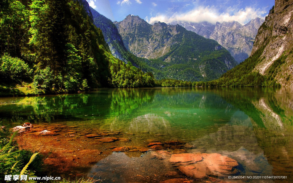 风景