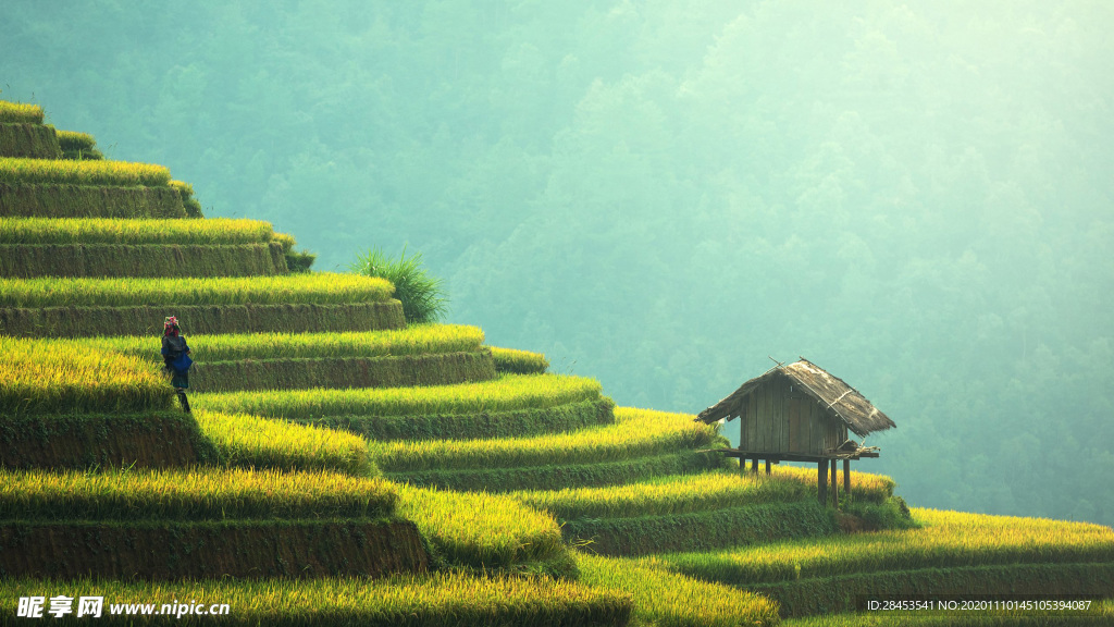 风景