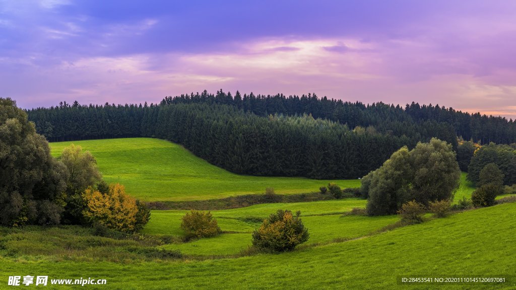 风景
