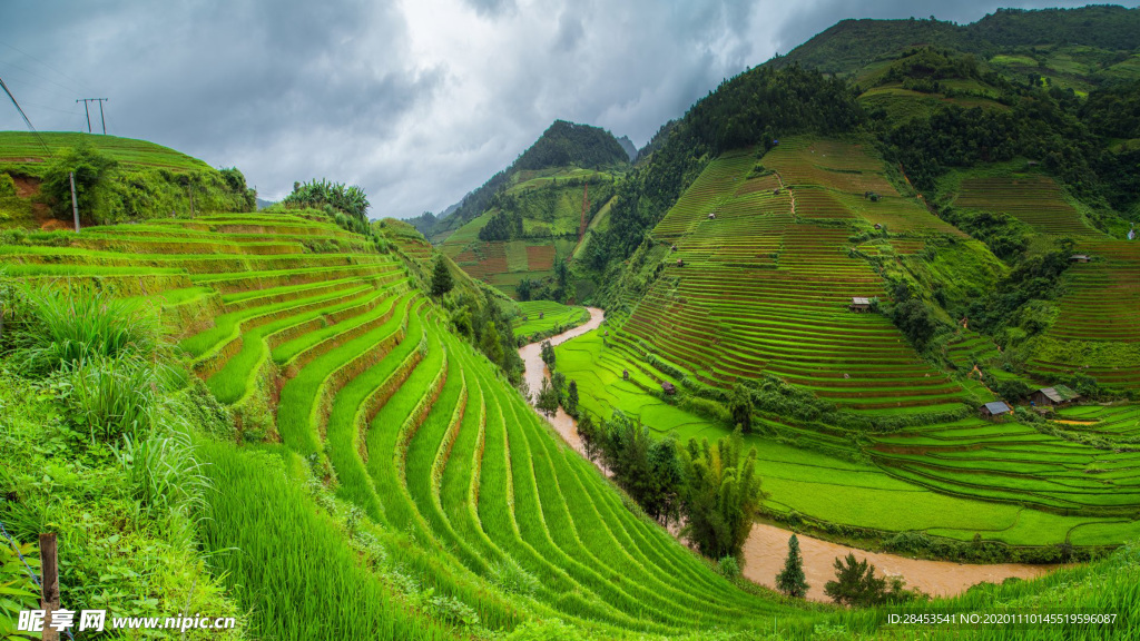 风景