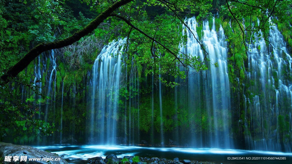 风景