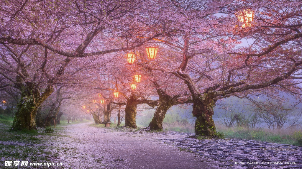 风景