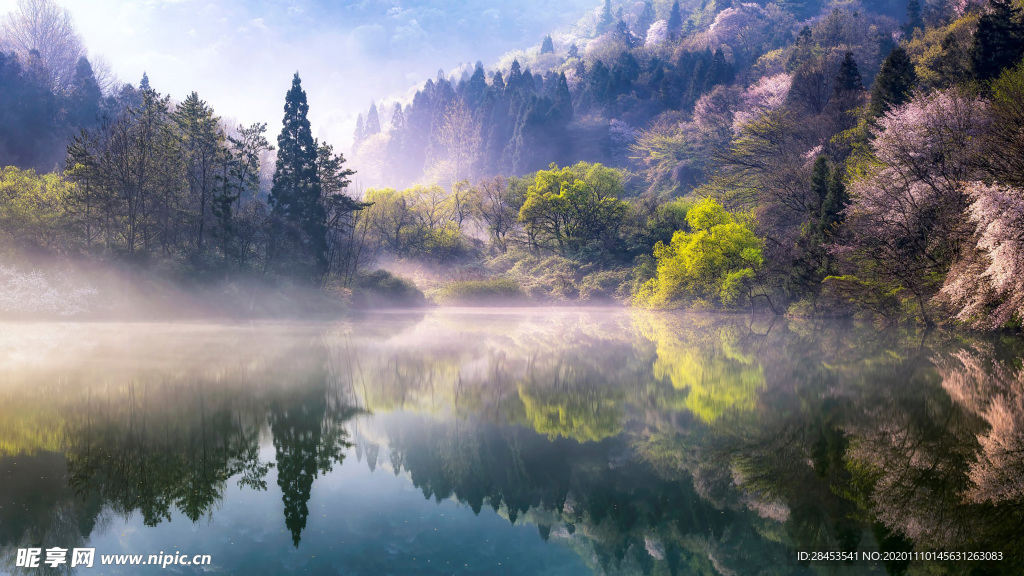 风景