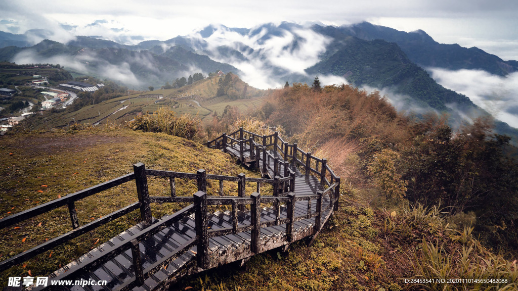 风景