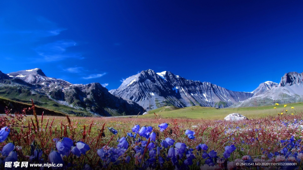 风景