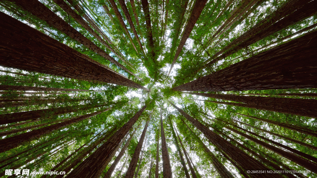 风景