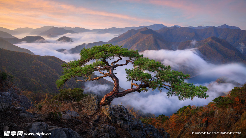 风景