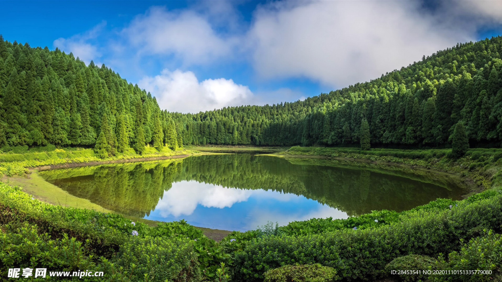 风景