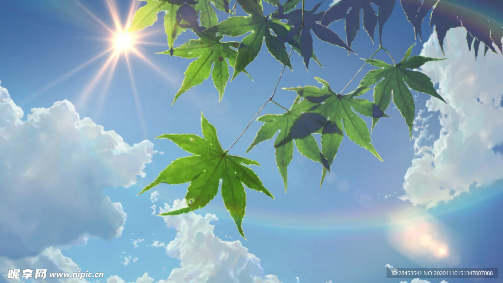 风景