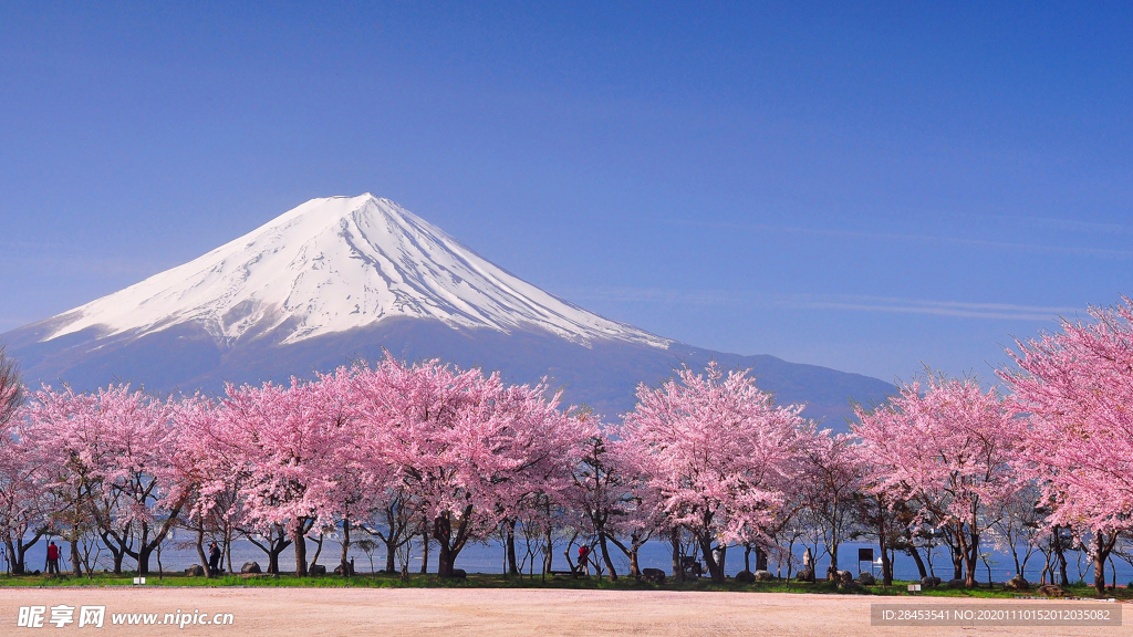 风景