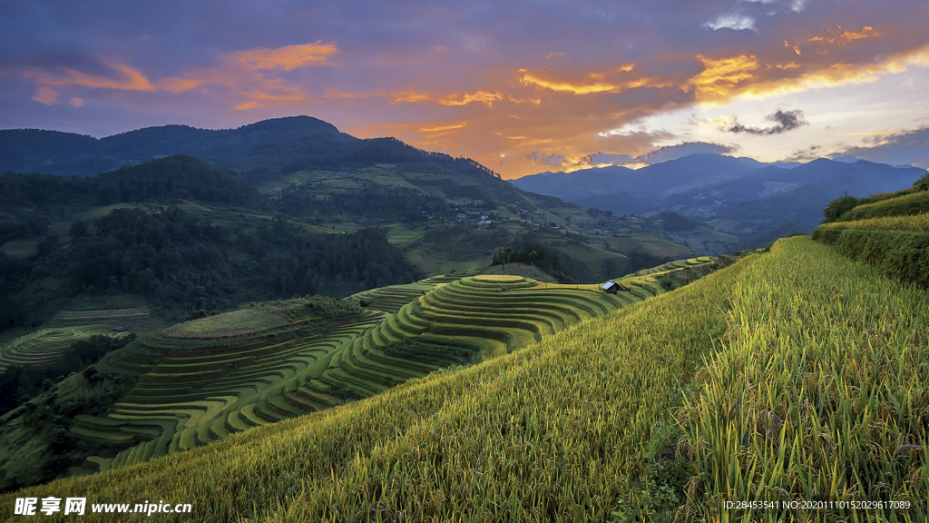 风景