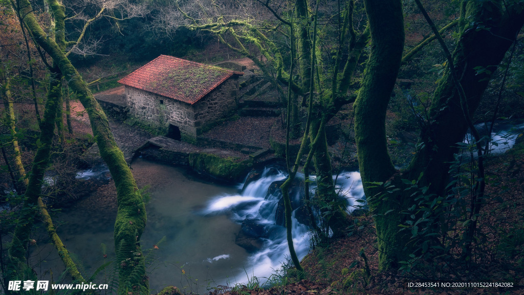 风景