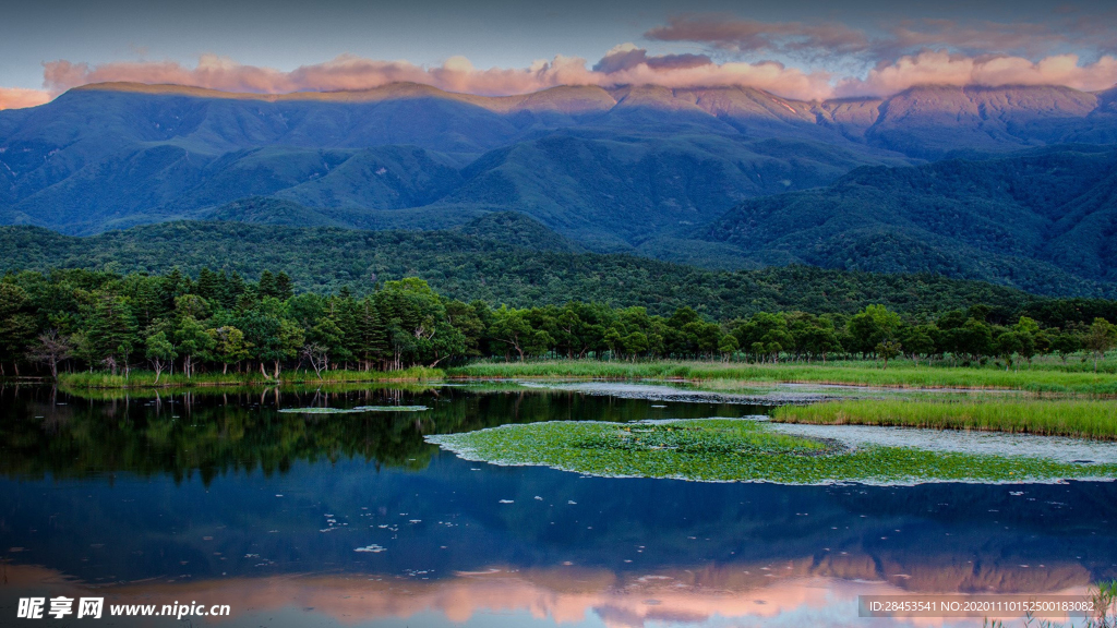 风景