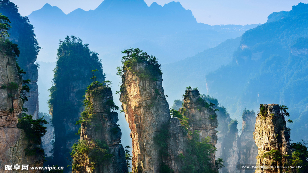 风景