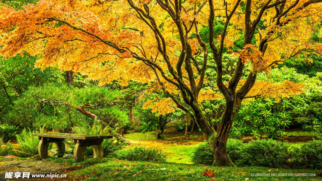 风景