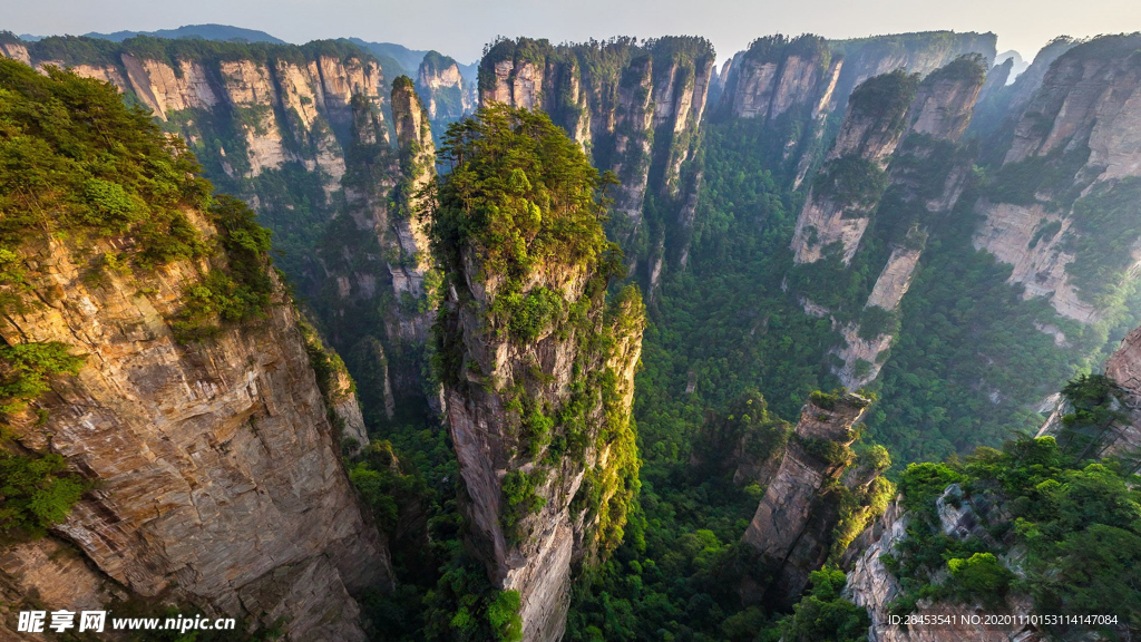 风景