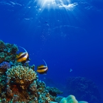 海底世界