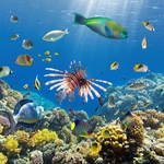 海底世界