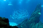 海底世界