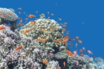 海底世界