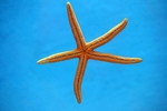 海底世界