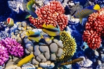 海底世界