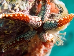 海底世界