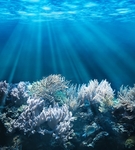 海底世界