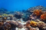海底世界